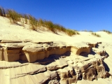 Tráva-v-písku